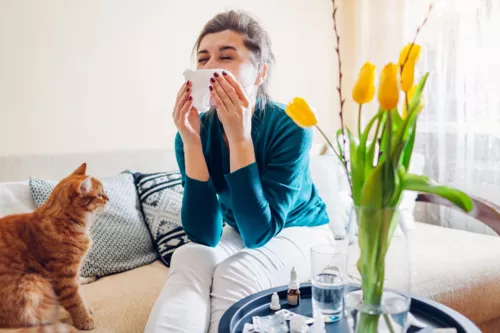 Les allergies : mode d’emploi